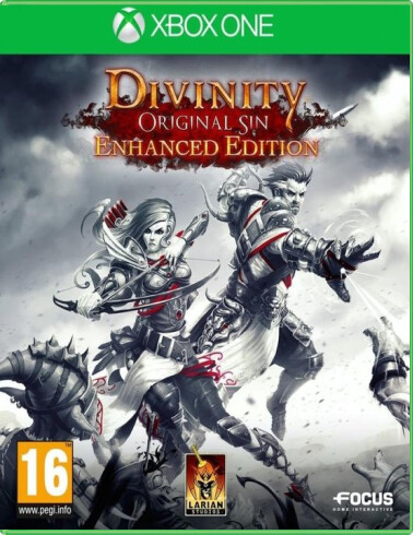 Divinity: Original Sin - Enhanced Edition