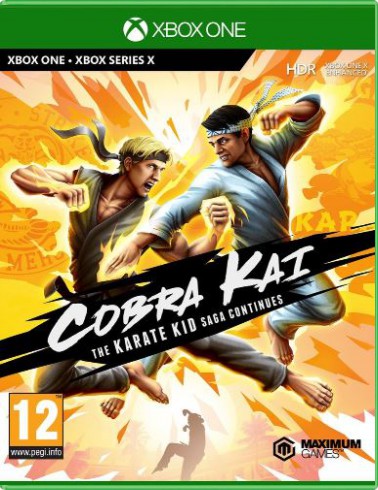 Cobra Kai: The Karate Kid Saga Continues