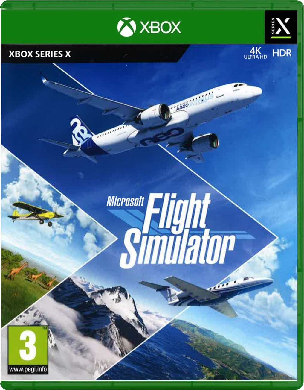 Microsoft Flight Simulator